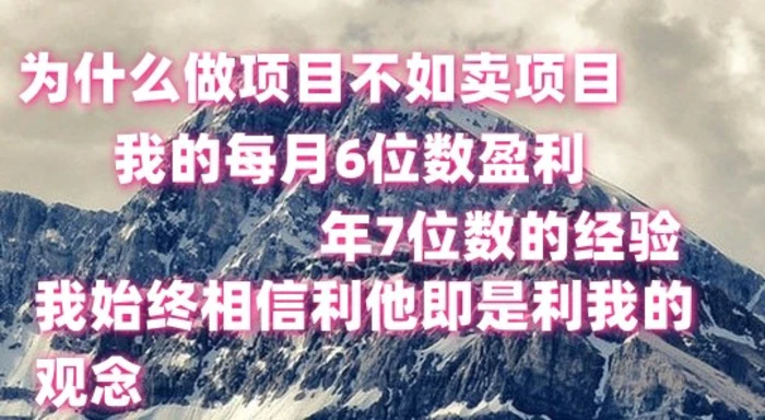 做项目不如卖项目，每月6位数盈利，年7位数经验