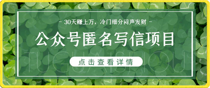 公众号匿名写信项目，30天赚上万，冷门细分闷声发财！