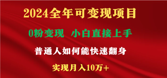 （9045期）2024全年可变现项目，一天收益至少2000+，小白上手快，普通人就要利用互联网