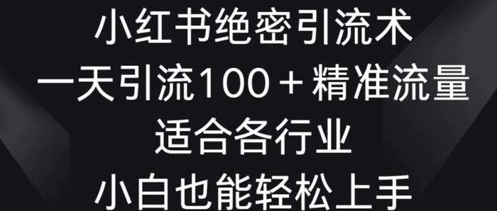 小红书绝密引流术，一天引流100+精准流量，适合各个行业，小白也能轻松上手【揭秘】