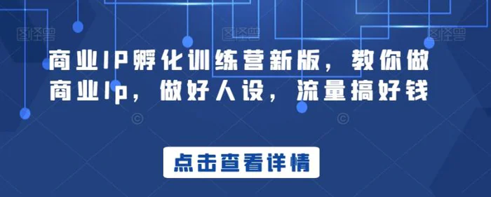 （8539期）商业IP-孵化训练营新版，教你做商业Ip，做好人设，流量搞好钱