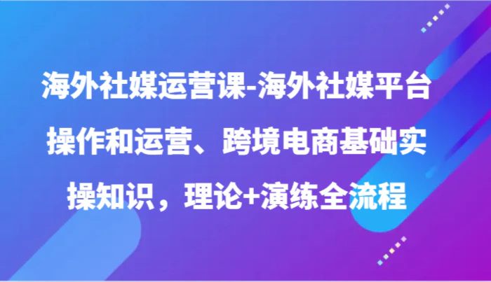 海外社媒运营课-海外社媒平台操作和运营、跨境电商基础实操知识，理论+演练全流程