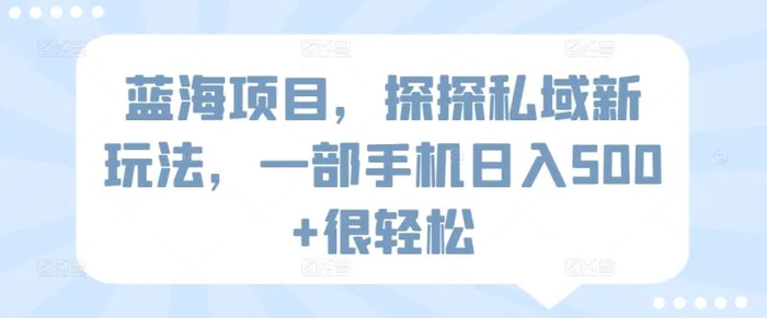 蓝海项目，探探私域新玩法，一部手机日入500+很轻松