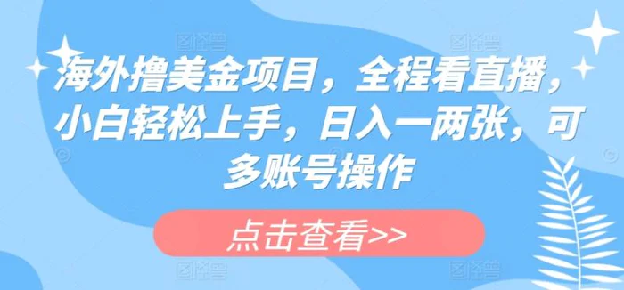 海外撸美金项目，全程看直播，小白轻松上手，日入一两张，可多账号操作【揭秘】