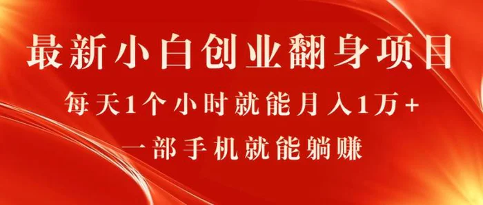 （11250期）最新小白创业翻身项目，每天1个小时就能月入1万+，0门槛，一部手机就能躺赚