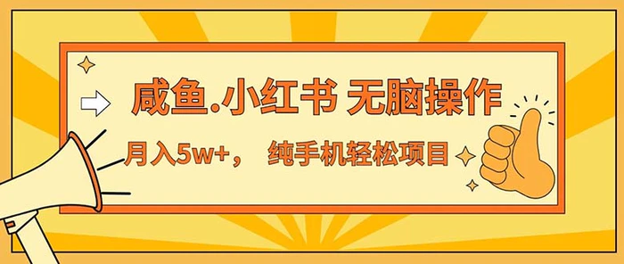 （11524期）2024最赚钱的项目，咸鱼，小红书无脑操作，每单利润500+，轻松月入5万+…