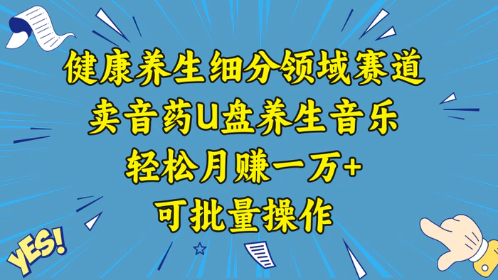 （8503期）健康养生细分领域赛道，卖音药U盘养生音乐，轻松月赚一万+，可批量操作