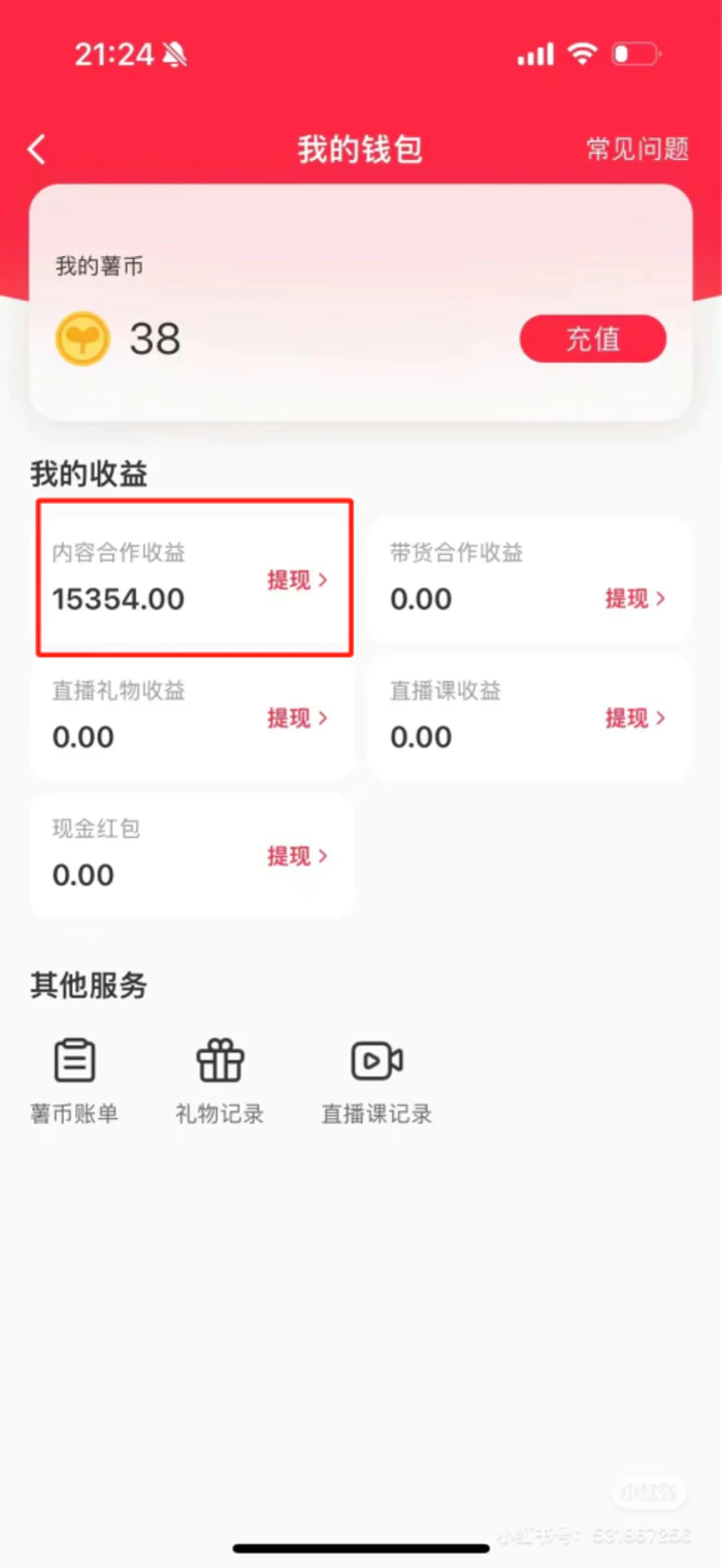 （8740期）热门评论引爆小红书流量，作品制作简单，广告接到手软，月入过万不是梦