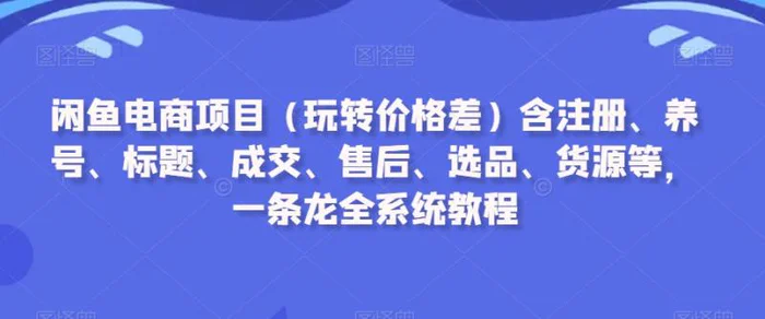 闲鱼电商项目（玩转价格差）含注册、养号、标题、成交、售后、选品、货源等，一条龙全系统教程