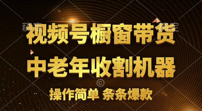 （11009期）视频号最火爆赛道，橱窗带货，流量分成计划，条条原创爆款