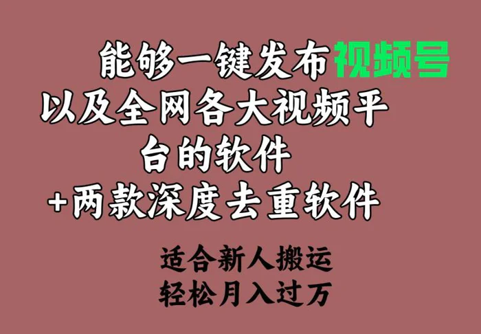 （9319期）能够一键发布视频号以及全网各大视频平台的软件+两款深度去重软件 适合…