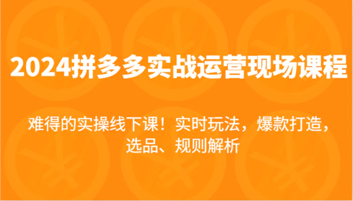 2024拼多多实战运营现场课，实时玩法，爆款打造，选品、规则解析，难得的实操线下课！