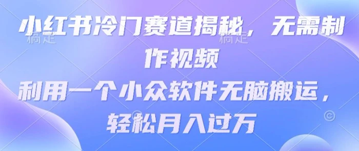 小红书冷门赛道揭秘，无需制作视频，利用一个小众软件无脑搬运，轻松月入过万