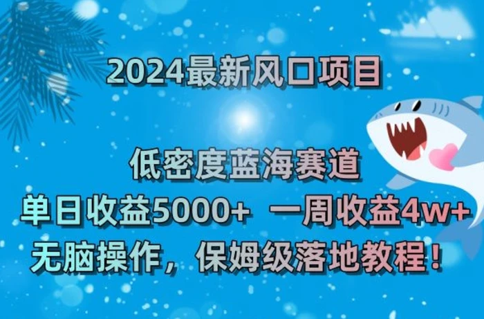 2024最新风口项目，低密度蓝海赛道，单日收益5000+，一周收益4w+！