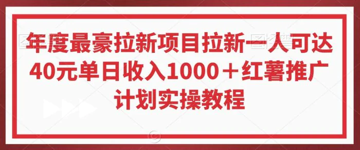 年度最豪拉新项目拉新一人可达40元单日收入1000＋红薯推广计划实操教程【揭秘】