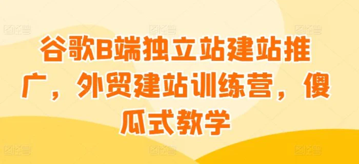 谷歌B端独立站建站推广，外贸建站训练营，傻瓜式教学