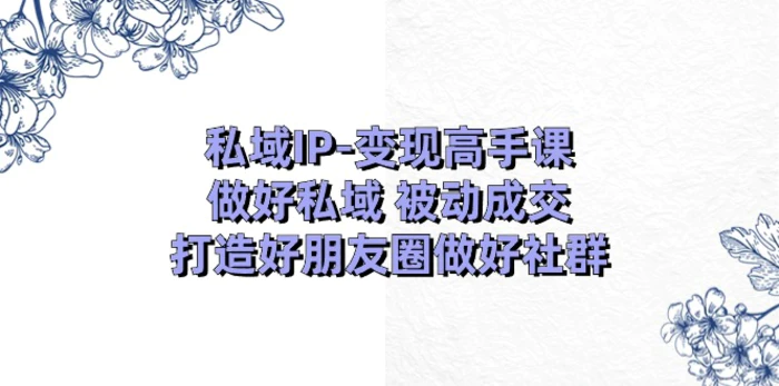 私域IP变现高手课：做好私域被动成交，打造好朋友圈做好社群（18节）