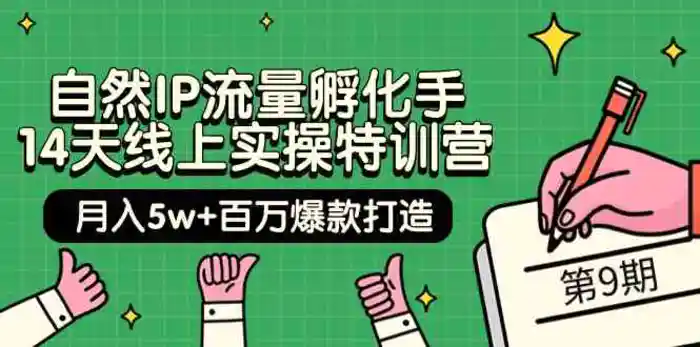 自然IP流量孵化手14天线上实操特训营【第9期】月入5w+百万爆款打造 (74节)