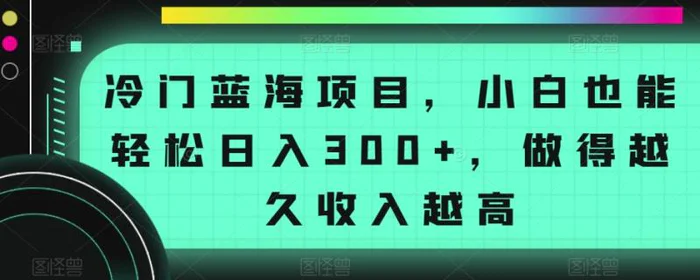 冷门蓝海项目，小白也能轻松日入300+，做得越久收入越高