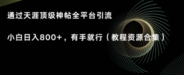 天涯顶级神帖项目，全平台引流小白日入800+，有手就行(内含教程资源合集)