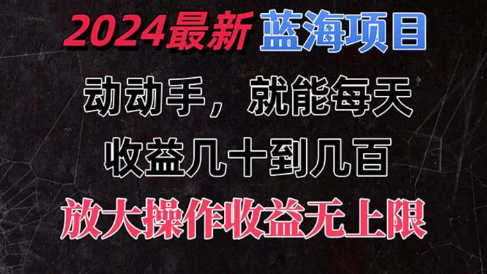 （11470期）有手就行的2024全新蓝海项目，每天1小时收益几十到几百，可放大操作收益无上限