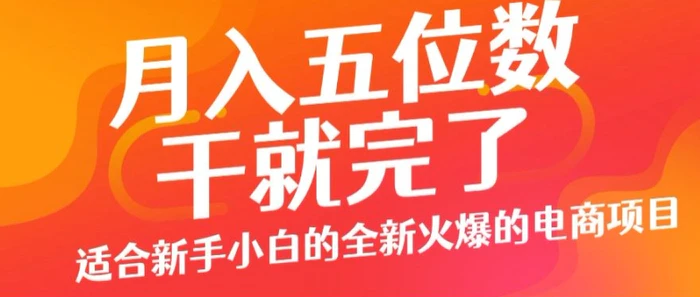 月入五位数，干就完了， 适合新手小白的全新火爆的电商项目