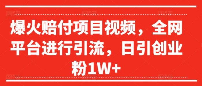 爆火赔付项目视频，全网平台进行引流，日引创业粉1W+