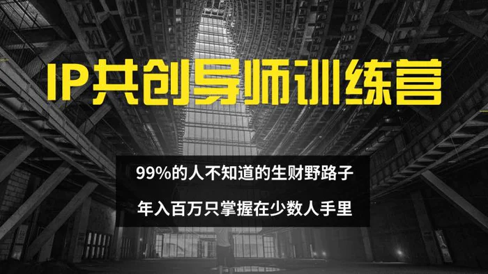 （12504期）IP共创导师训练营 99%的人不知道的生财野路子 只掌握在少数人手里