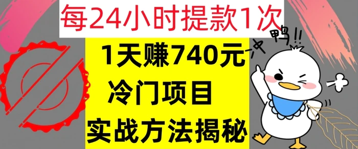 1天赚740元，24小时提款1次，冷门项目，实战方法公开【干货】