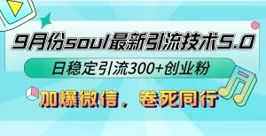 【2024.9.28】9月份soul最新引流技术5.0，日稳定引流300+创业粉，加爆微信，卷死同行-新思维项目网