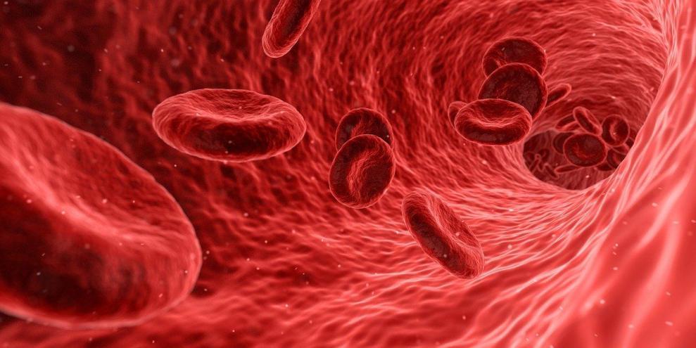 瑞士医疗科技公司Hemotune研发血液磁性吸附珠，高效治疗败血症 | 瑞士创新100强-