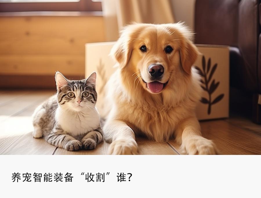 花上万元买台猫厕所，养宠智能装备成新的智商税？-