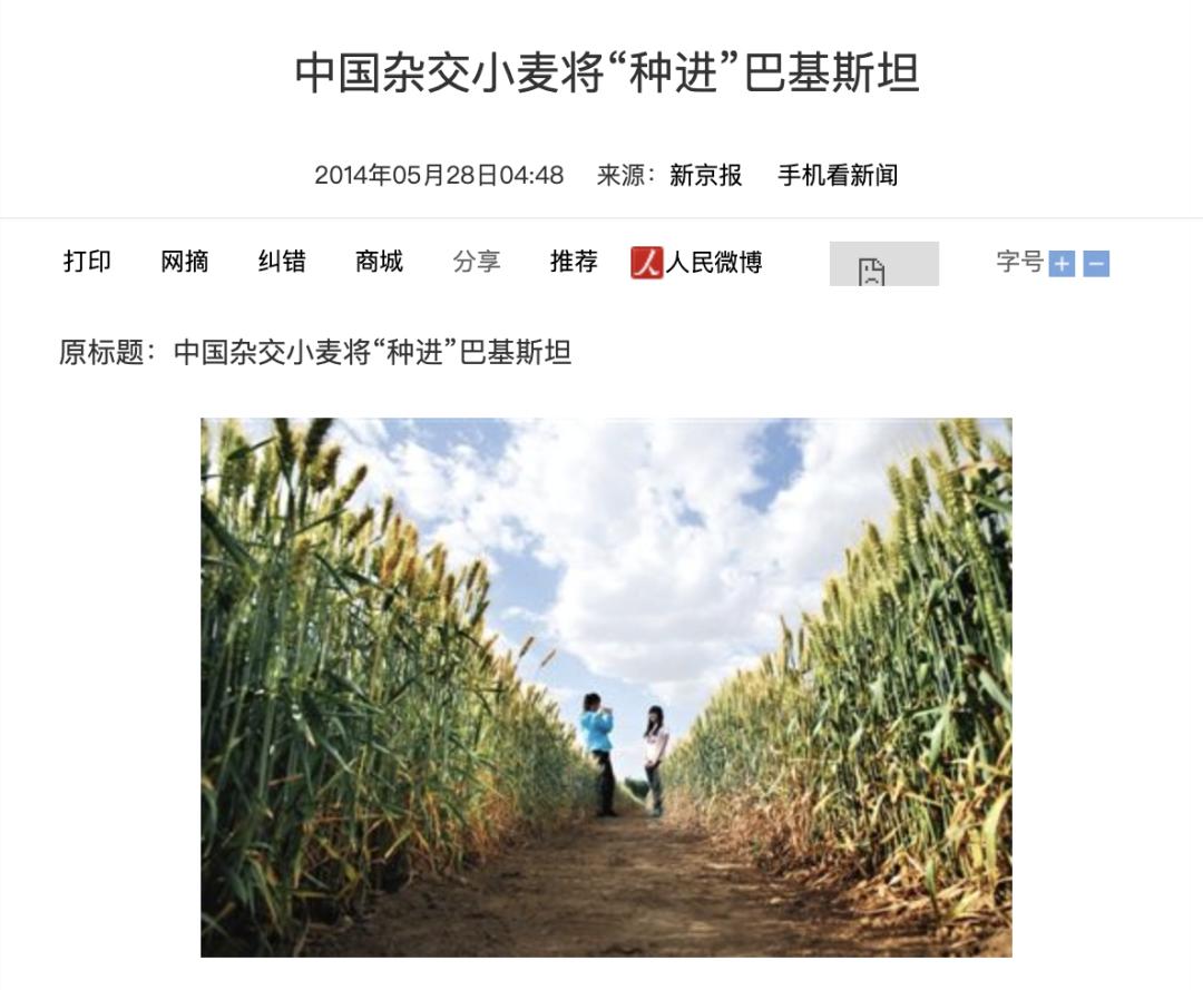 中国杂交水稻，如何让非洲“端稳饭碗”？-