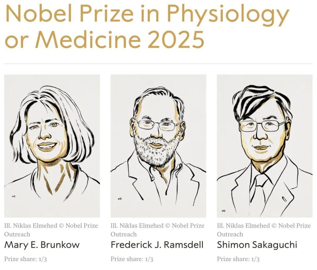 2025诺奖科学家：20年内，人类攻克癌症-