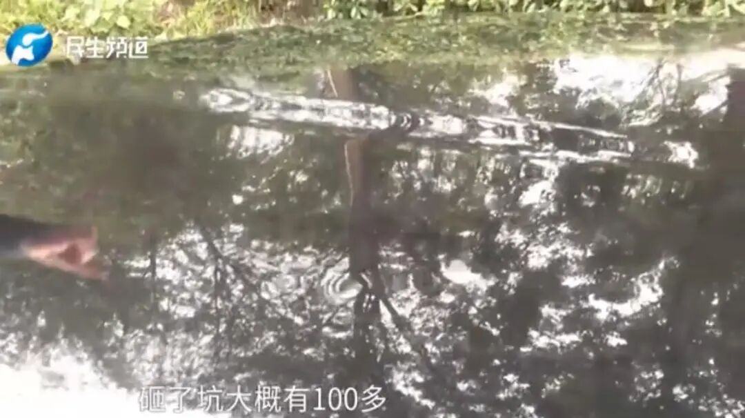 车企在装冰箱彩电，老天爷在考防水防火-