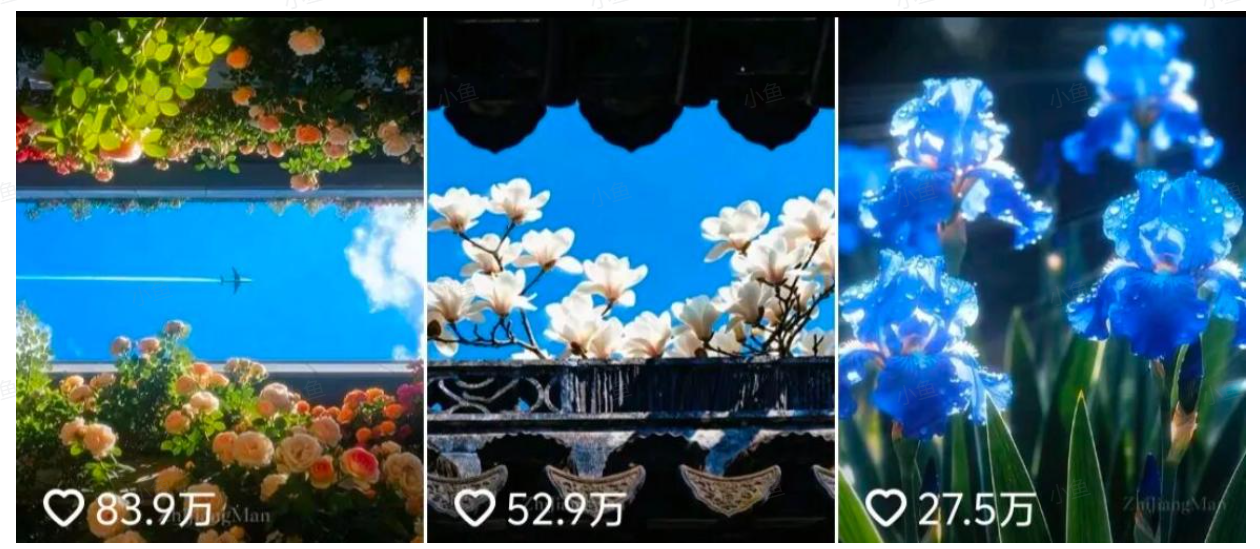 图片[1]-【2025.10.30】AI绽放治愈力！百万点赞的电子花朵，化身你的心灵布洛芬-