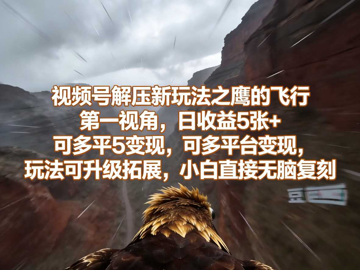 【2026.04.06】鹰眼视角玩转视频号，日入500+轻松变现，新手也能一键复制多平台赚钱攻略-